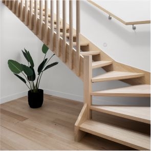 architecture, building, house, housing, staircase, wood, plant, handrail, hardwood, potted plant